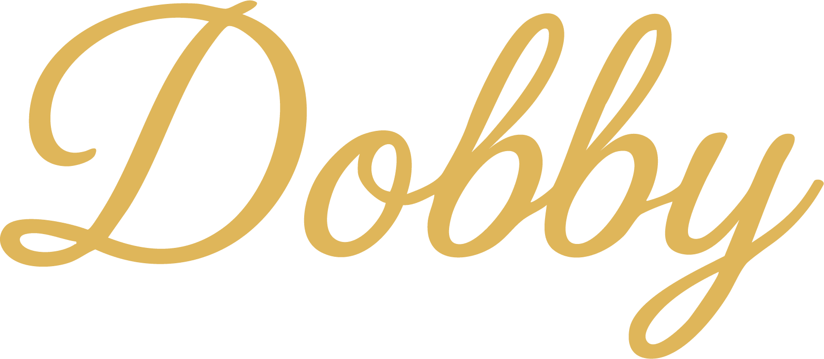 home-nieuw - Dobby International
